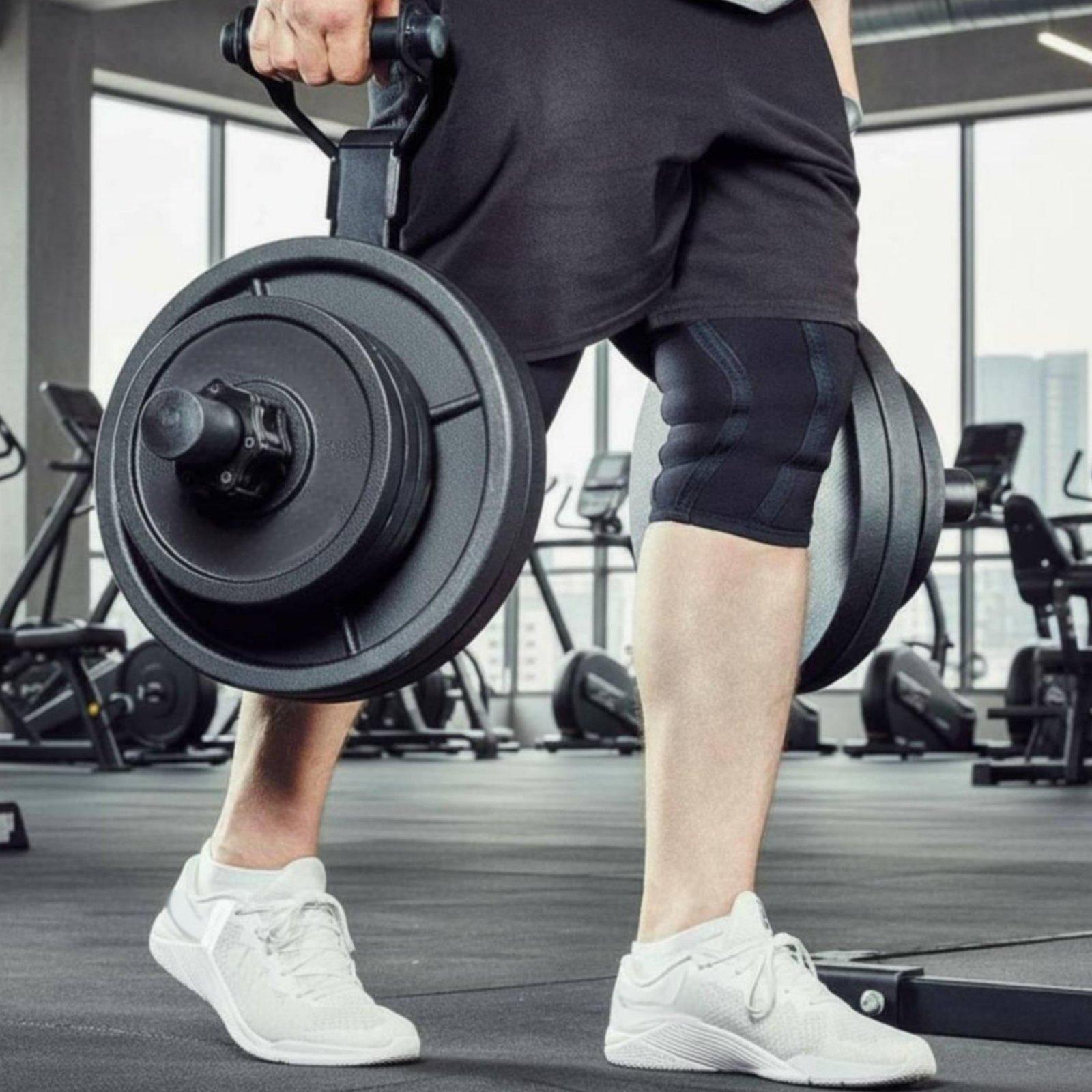 Multi-size Barbell Plate Holde - Home Gym Fitness 评论和价格