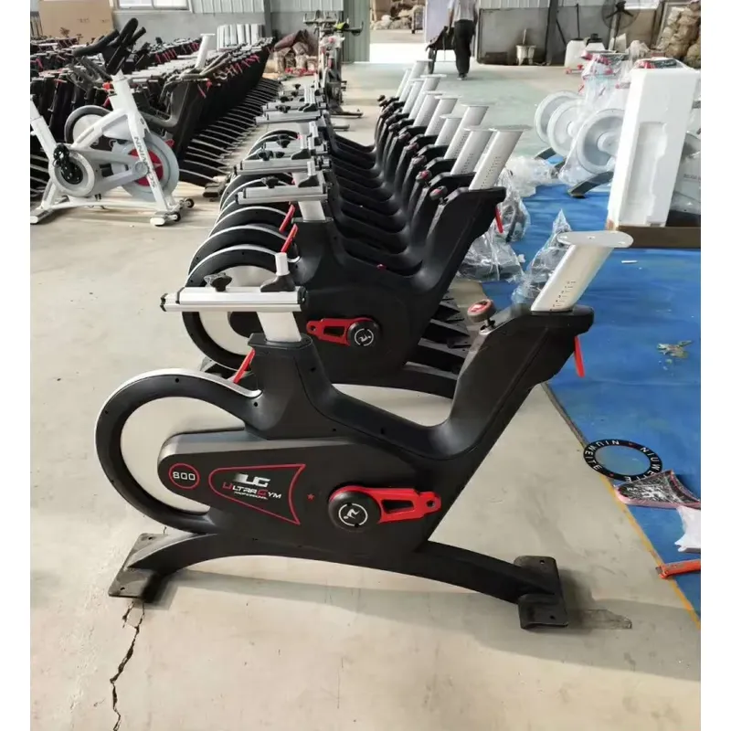 Professional Magnetic Resistan - Home Gym Fitness 评论和价格