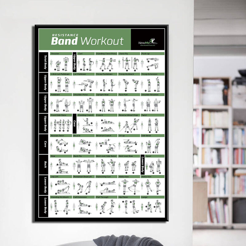 Body workout training chart, e - Home Gym York 评论和价格