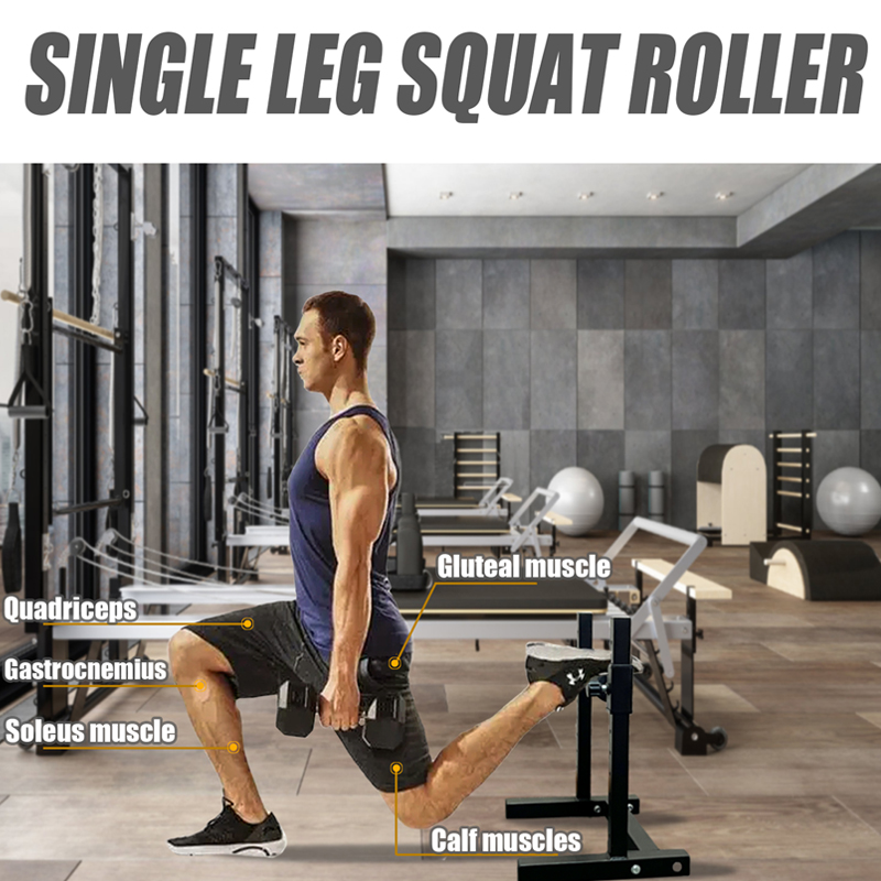 Adjustable Single Leg Squat St - Home Gym Design 评论和价格