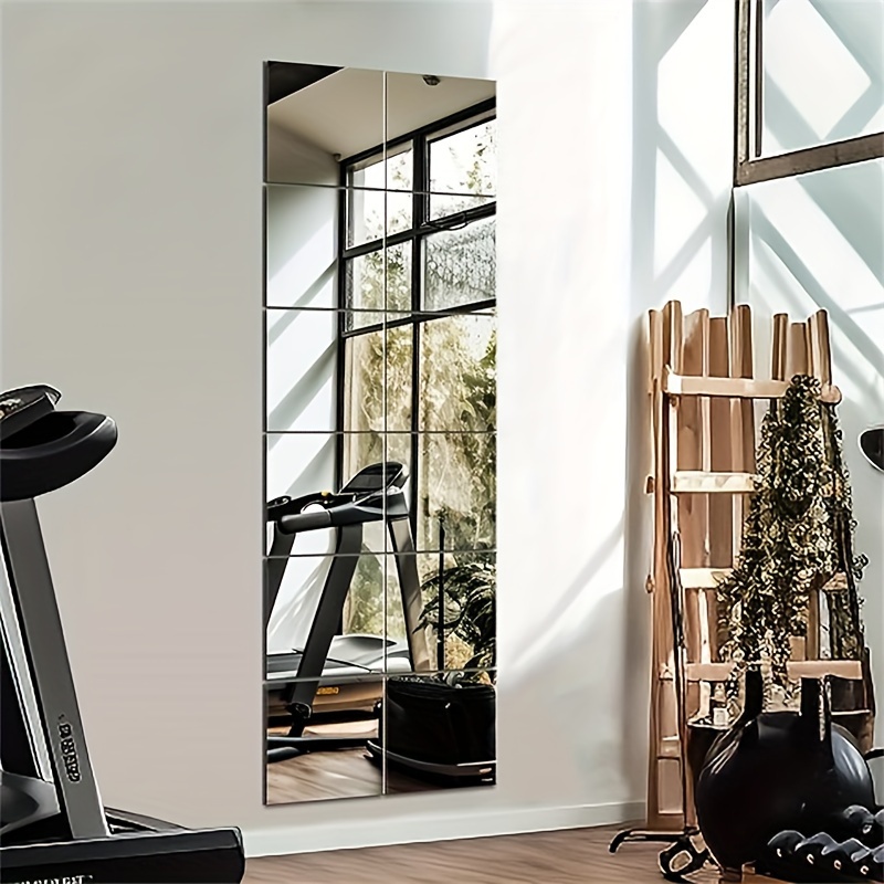 Bandwagon 2mm Acrylic Mirror S - Home Gym Needs 评论和价格