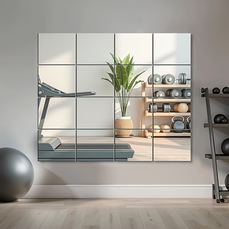 Bandwagon 2mm Acrylic Mirror S - Home Gym Needs 评论和价格