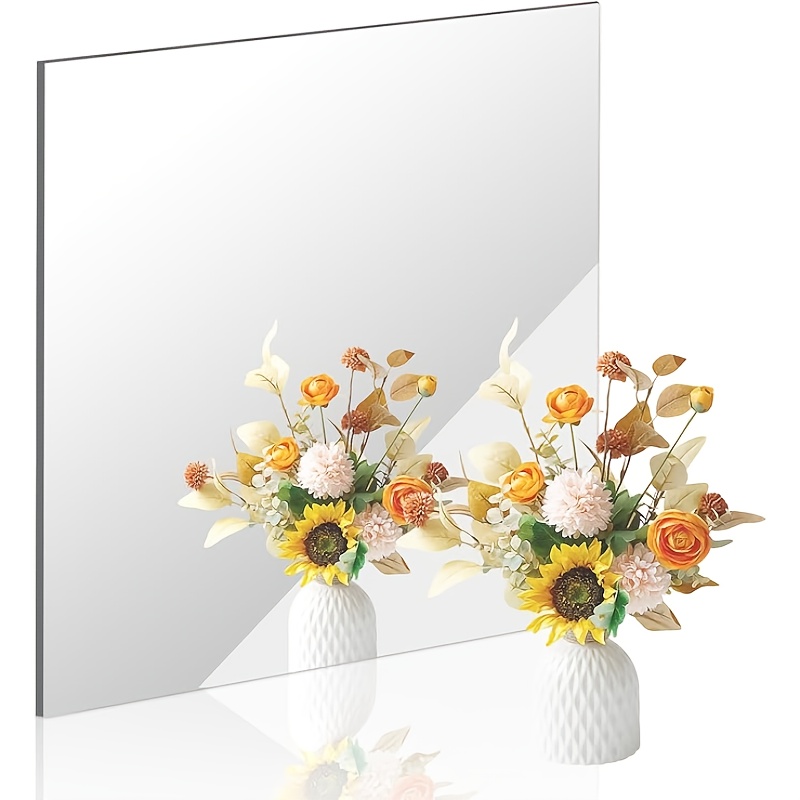 Bandwagon 2mm Acrylic Mirror S - Home Gym Needs 评论和价格