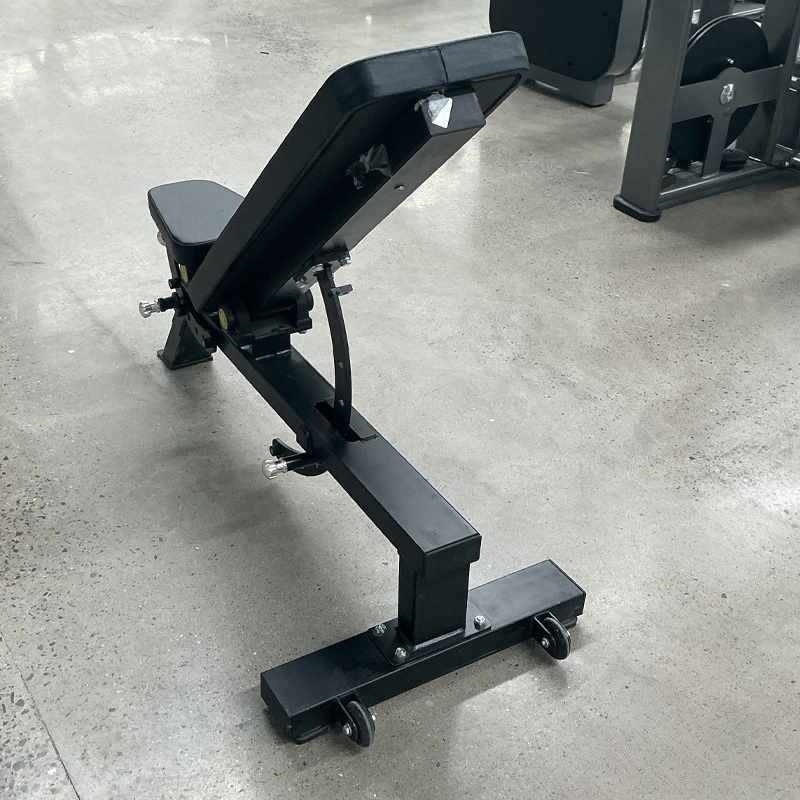 Adjustable Home Gym Dumbbell B - Home Gym Design 评论和价格